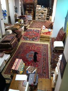 interni show room antica persia a Genova